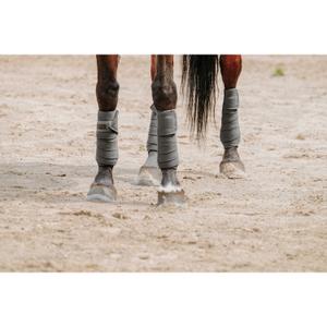 product/e/q/equitheme_540068011_gris_2.jpg