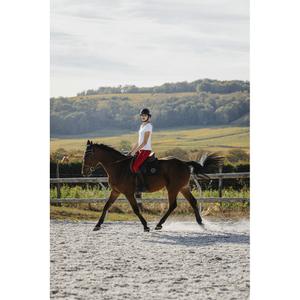 product/e/q/equitheme_963_066_012_ambi3.jpg