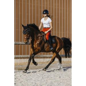 product/e/q/equitheme_963_066_012_ambi4.jpg