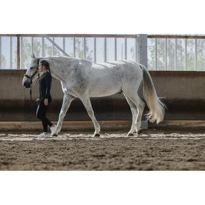 product/e/q/equitheme_979164021_noir_2.jpg