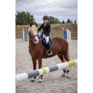 product/e/q/equitheme_988_480_212_ambi3.jpg