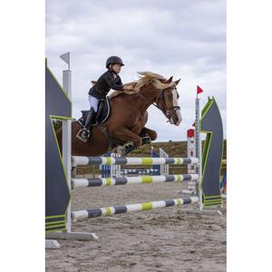 product/e/q/equitheme_988_480_212_ambi5.jpg