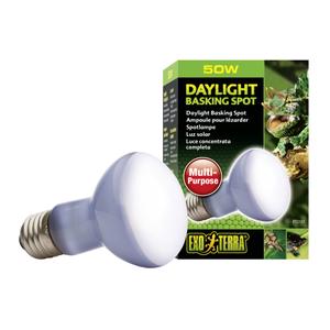 product/e/x/exo-terra_33-pt2131.jpg