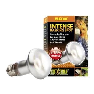 product/e/x/exo-terra_33-pt2135.jpg