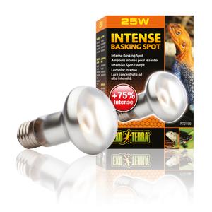 product/e/x/exo-terra_33-pt2196.jpg