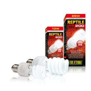 product/e/x/exo-terra_33-pt2341.jpg