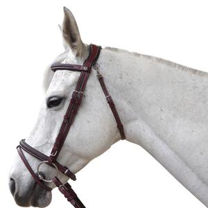 171128-marron-bridons-equitation-pour-cheval-flags-cup-aachen-marron