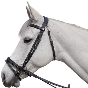 171128-noir-bridons-equitation-pour-cheval-flags-cup-aachen-noir