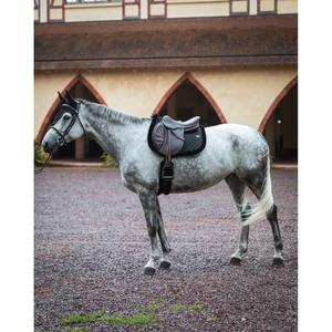 product/g/e/gem_7421128421691_gris_5.jpg