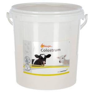 15994-aliment-complementaire-pour-veau-globigen-colostrum-white-2-5-kg