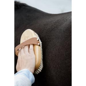 82166-05-brosse-pour-cheval-grooming-deluxe-overall-marron-tu