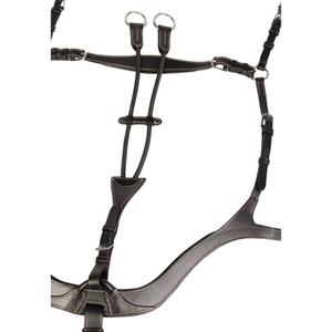 product/h/a/harry-s-horse_28300071-05_2_2.jpg