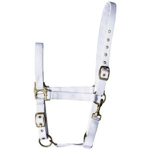 31000410-wit-licol-pour-cheval-harry-s-horse-wit