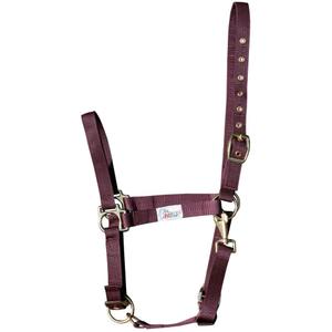 product/h/a/harry-s-horse_31000410-08.jpg