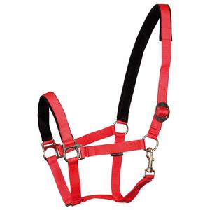 31000910-rood-licol-pour-cheval-rembourre-harry-s-horse-rood
