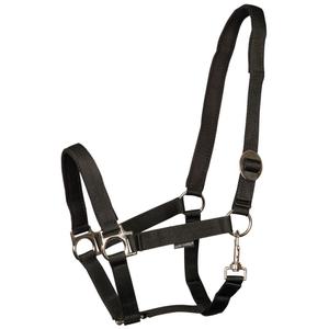 31000910-zwart-licol-pour-cheval-rembourre-harry-s-horse-zwart