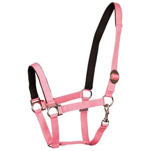 product/h/a/harry-s-horse_31000910-10.jpg