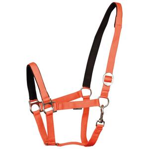 31000910-oranje-licol-pour-cheval-rembourre-harry-s-horse-oranje