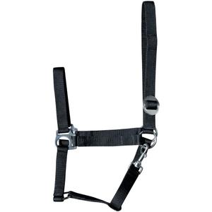 31000925-zwart-licol-pour-cheval-harry-s-horse-economy-zwart
