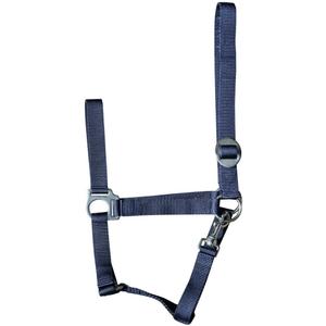 31000925-navy-licol-pour-cheval-harry-s-horse-economy-navy