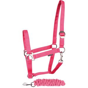 31000926-fuchsia-ensemble-licol-et-longe-pour-cheval-harry-s-horse-initial-fuchsia