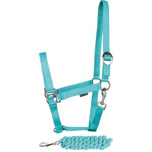 31000926-turquoise-ensemble-licol-et-longe-pour-cheval-harry-s-horse-initial-turquoise