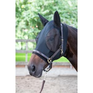 product/h/a/harry-s-horse_31300016.jpg