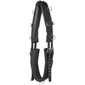 product/h/a/harry-s-horse_31405020_1_2.jpg