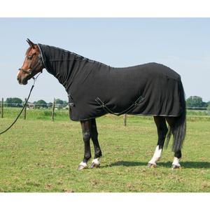 product/h/a/harry-s-horse_32200062-05.jpg