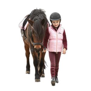 product/h/a/harry-s-horse_33202820-zilver_zilver_1.jpg