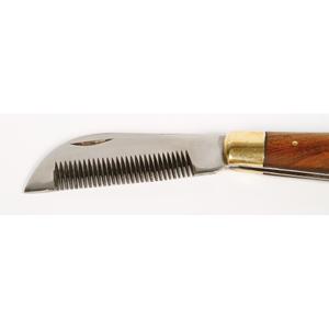 product/h/a/harry-s-horse_36000607_2.jpg