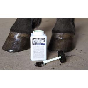 product/h/a/harry-s-horse_37900403_2.jpg