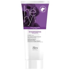 product/h/e/hery_3000510_violet-violet_1.jpg