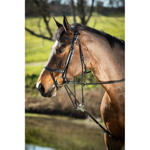sam323bk-gogue-pour-cheval-hfi-black