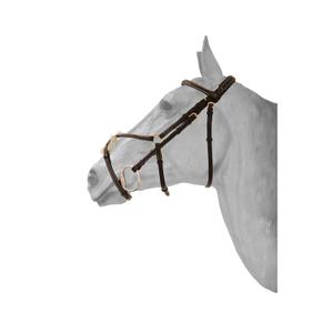 sam584brc-bridon-equitation-muserolle-croisee-mexicaine-anatomique-hfi-fancy-brun-cob