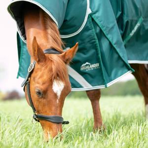 product/h/i/highlander-original_9397-green_green_2.jpg