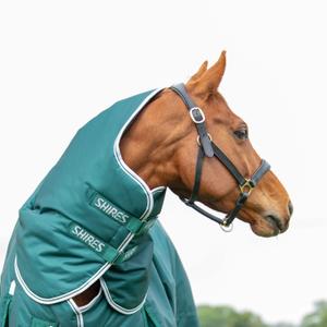 product/h/i/highlander-original_9397-green_green_3.jpg