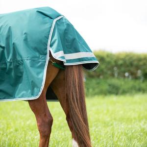 product/h/i/highlander-original_9397-green_green_7.jpg