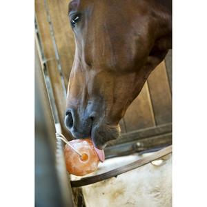 product/h/i/hippotonic_714_000_ambi.jpg