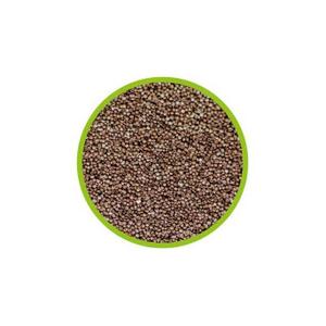 product/h/o/hobby_ho21350_marron_2.jpg