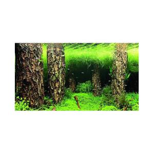 product/h/o/hobby_ho31025_vert_2.jpg