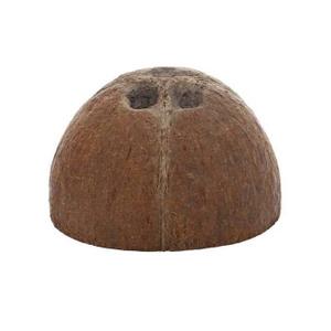 product/h/o/hobby_ho40210_marron_2.jpg
