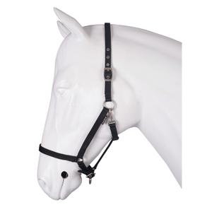 180195-2-licol-pour-cheval-base-horka-noir