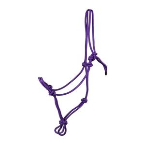 180241-13-licol-ethologique-de-competition-pour-cheval-horka-basic-violet