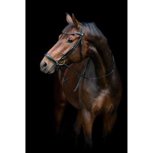 506353001-bridon-equitation-avec-muserolle-tombante-horseguard-cryll-25-2-black