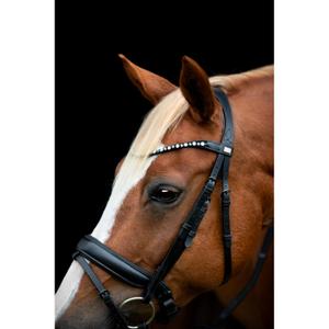 product/h/o/horseguard-506362001-black-4.jpg