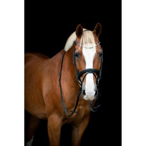 product/h/o/horseguard-506370201-black-2.jpg