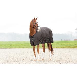 product/h/o/horseguard_27503_2.jpg