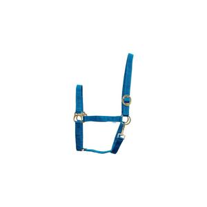 41211066-licol-pour-cheval-en-nylon-horseguard-petrol