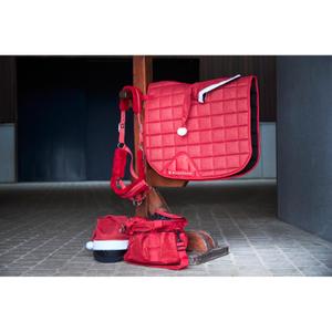 product/h/o/horseguard_502320604_red_2.jpg